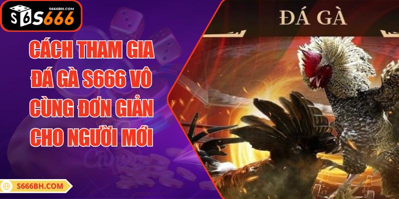 Cách tham gia đá gà S666 vô cùng đơn giản cho người mới