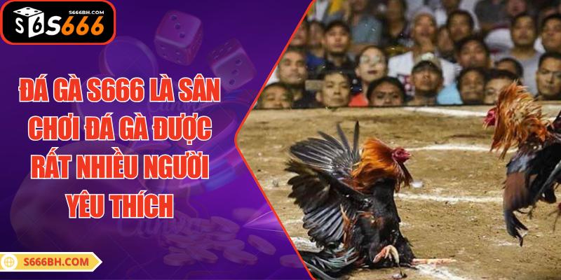 Đá gà S666 là sân chơi đá gà được rất nhiều người yêu thích