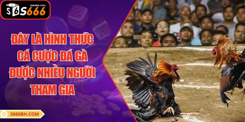 Đây là hình thức cá cược đá gà được nhiều người tham gia