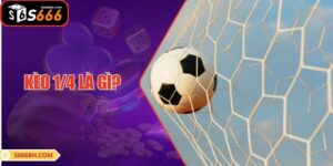 Kèo 1/4 Là Gì? Bí Kíp Chơi cược 0.25 Bất Bại Từ S666